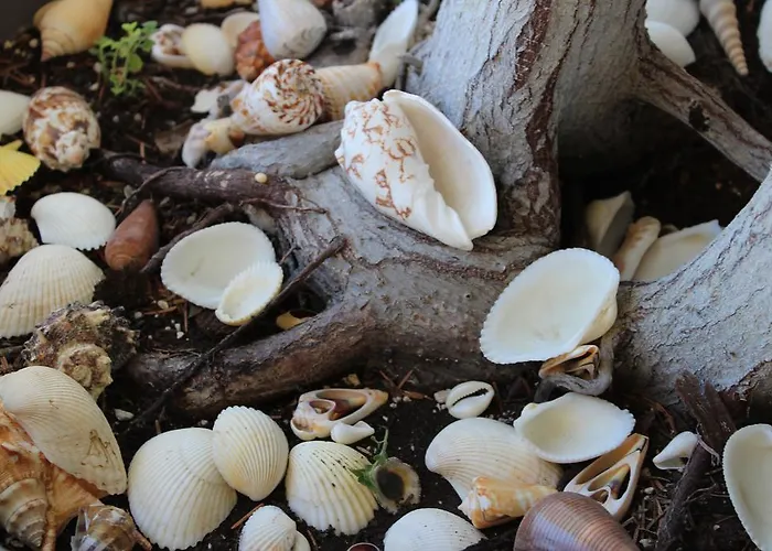 Luxurious With Sea View! *